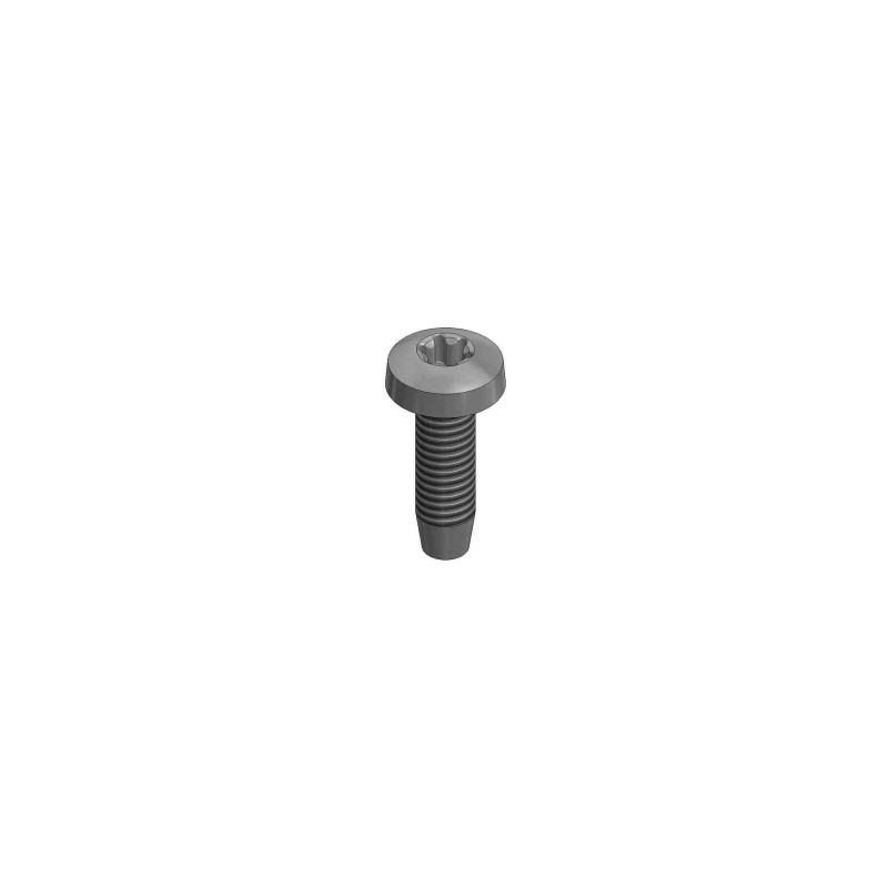 VAN DER VALK Perno autorroscante inox M6x20 mm - T